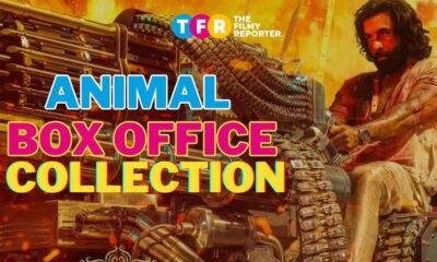 Animal box office collection