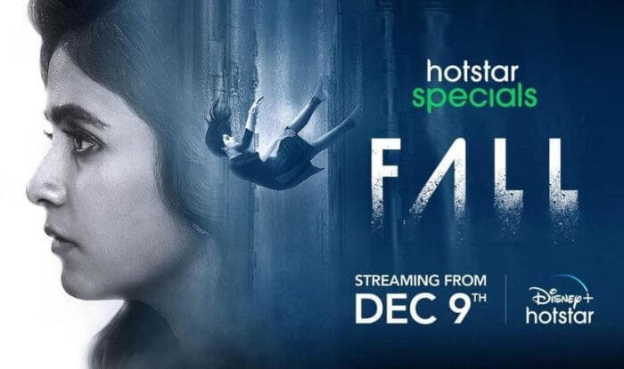 The Fall - Best Psychological Thriller Series 